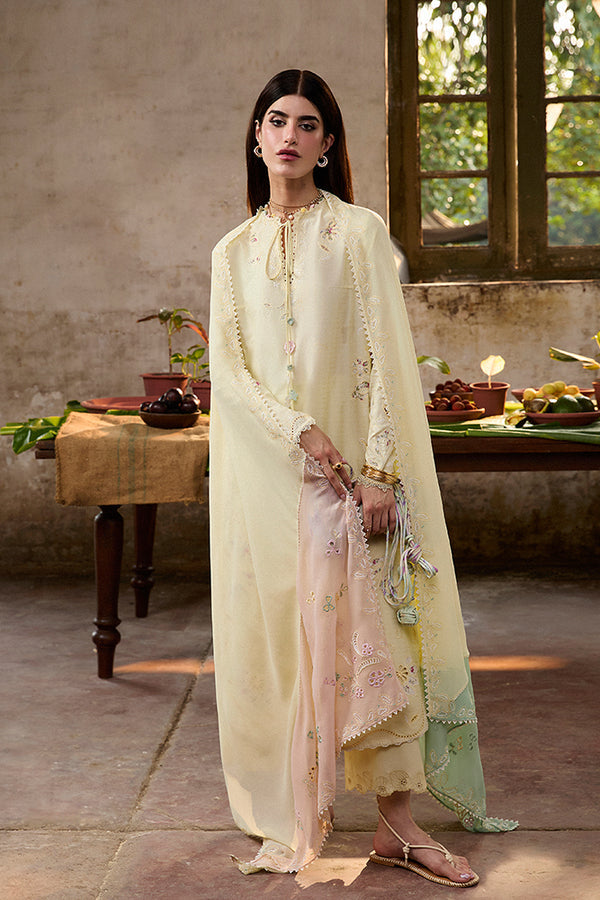 Suffuse | Basic Summer 25 | AMAAH