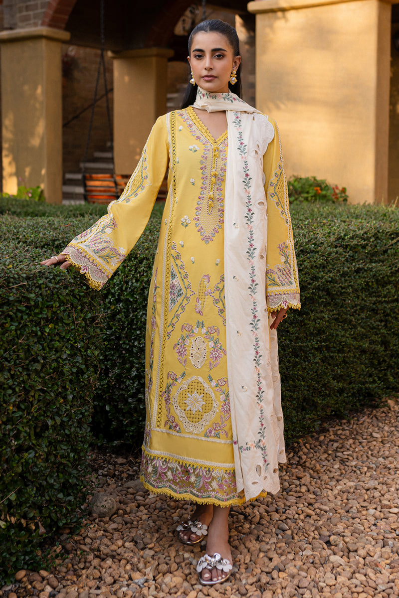 Qalamkar | Q Line Lawn 25 | QM-10 Olena