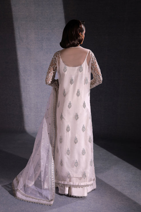 Ezra | Ermina Collection 25 | NOOREH