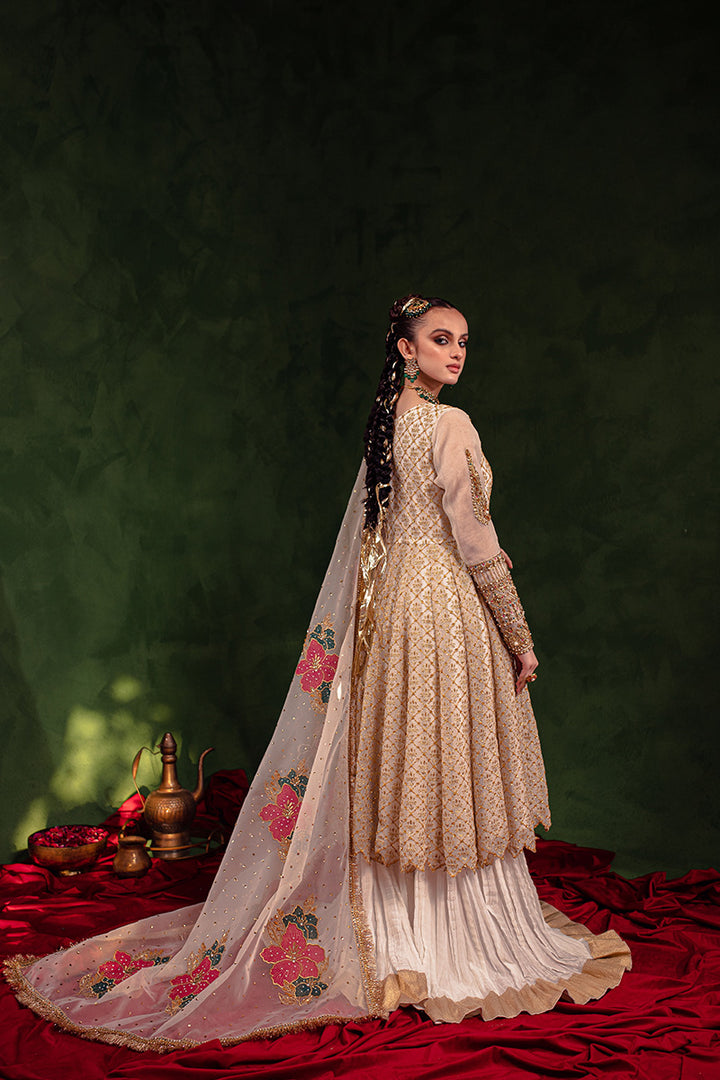 Maria Osama Khan | Salma Sitara | FALSAFA