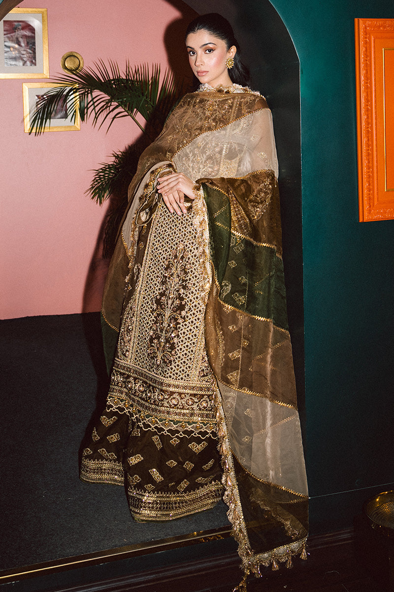 MNR | Zarlish Festive 25 | Zahra Sarfraz in Tabeer